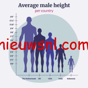 gemiddelde lengte vrouw nederland